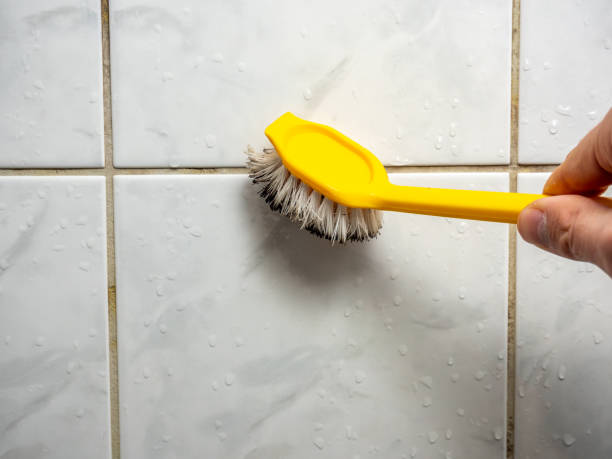 Best Black Mold Removal  in Trooper, PA