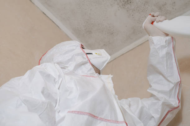 Best Residential Mold Removal  in Trooper, PA