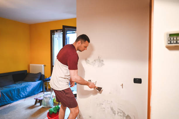 Mold Removal and Inspection in Trooper, PA